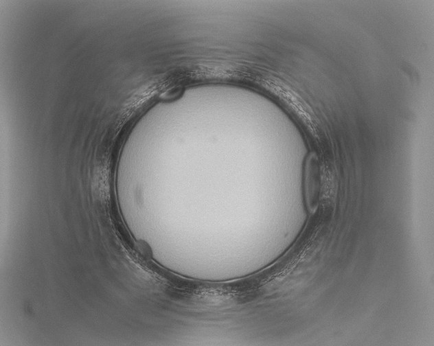 X0000115510489200911201642