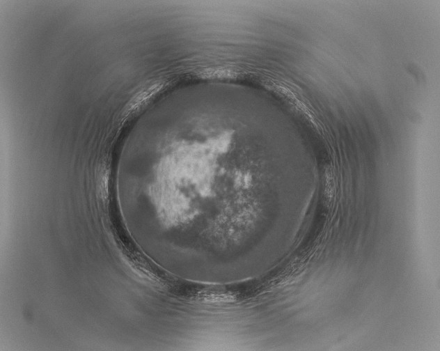 X0000115510491200911201641