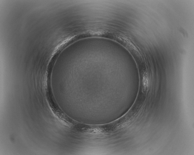 X0000115510492200911201641