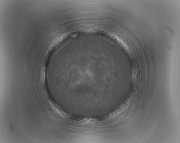 X0000115510493200911201641