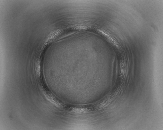 X0000115510494200911201641