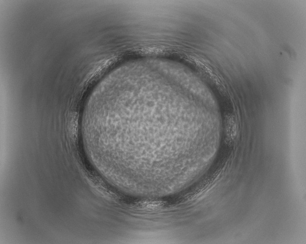 X0000115510495200911201641