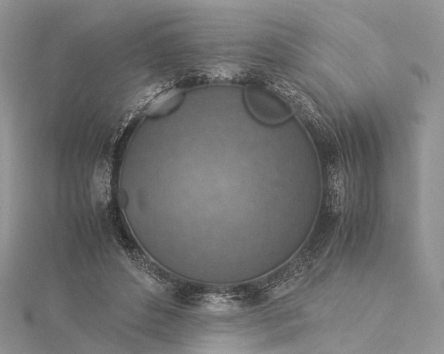 X0000115510496200911201641