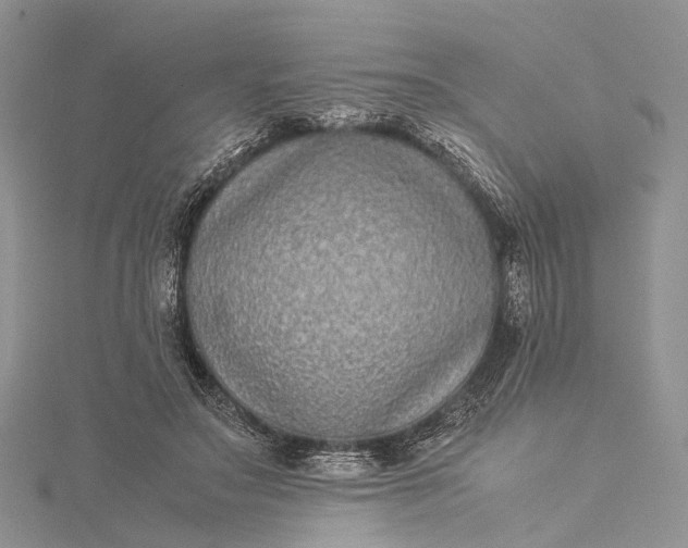 X0000115510499200911201641