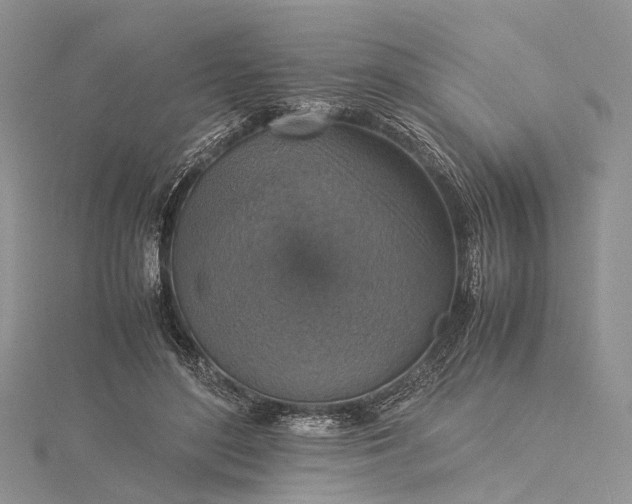 X0000115510500200911201641