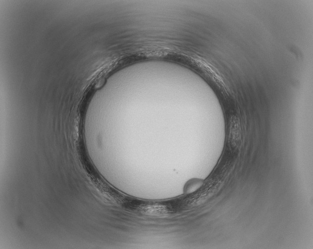 X0000115510501200911201641