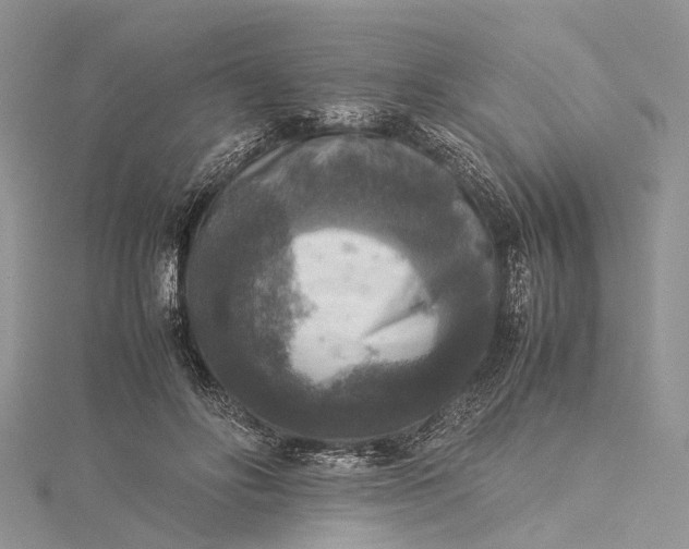 X0000115510502200911201641