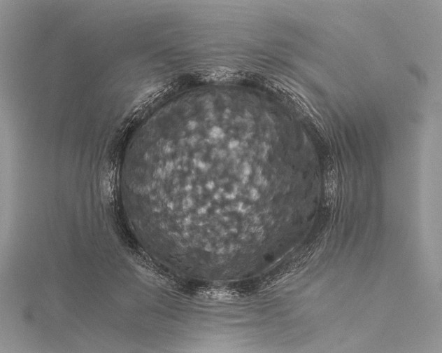 X0000115510503200911201641