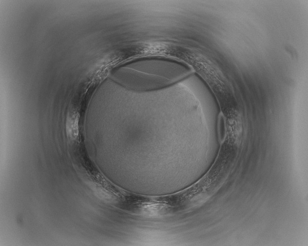 X0000115510504200911201641