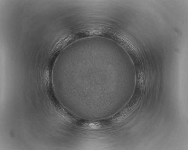 X0000115510506200911201641