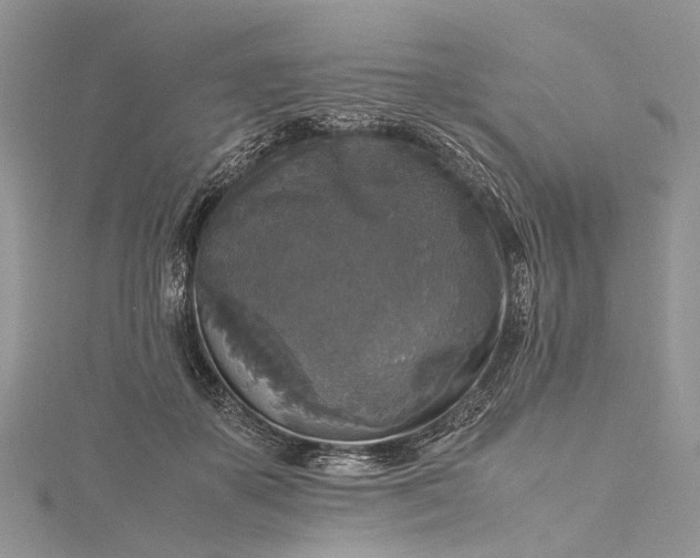 X0000115510507200911201641