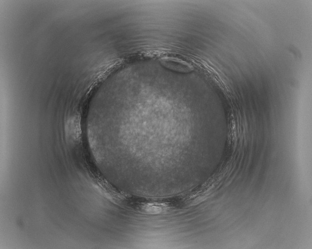 X0000115510508200911201641