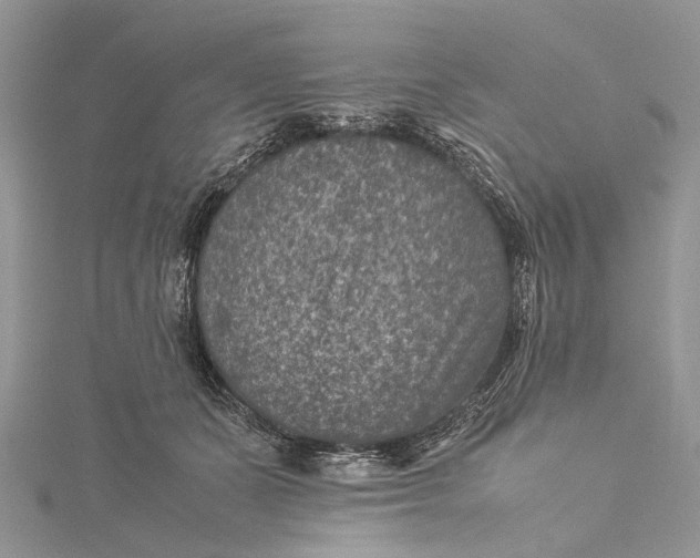 X0000115510511200911201641