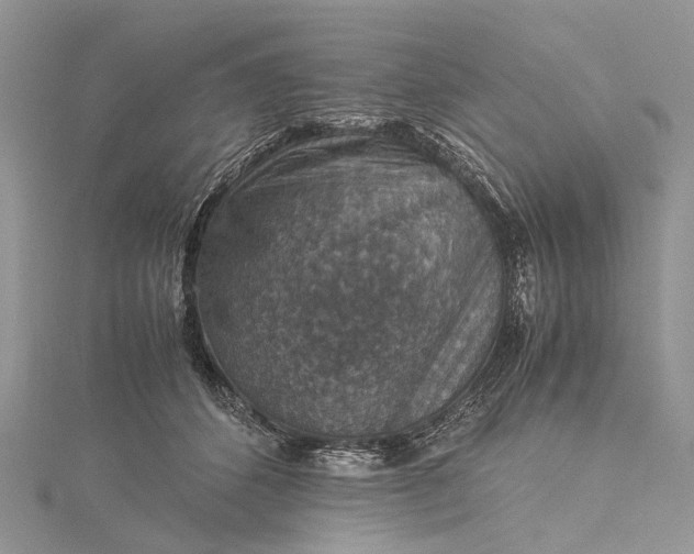 X0000115510512200911201641