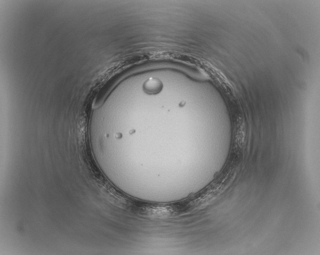 X0000115510513200911201641