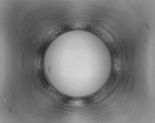 X0000115510514200911201641