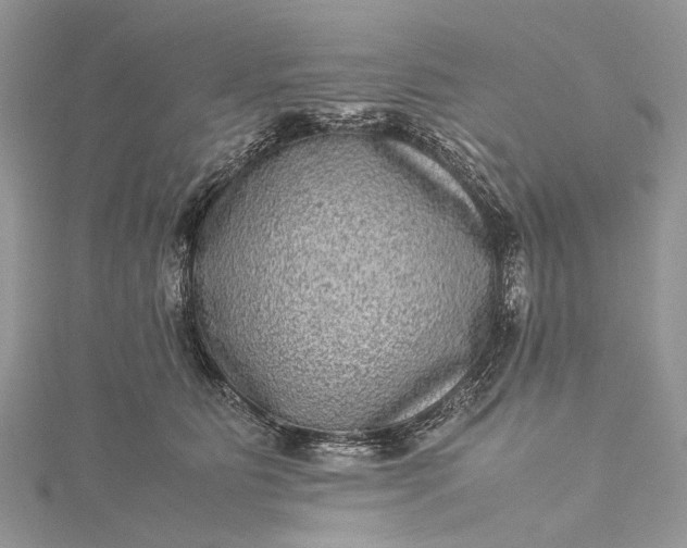 X0000115510515200911201641