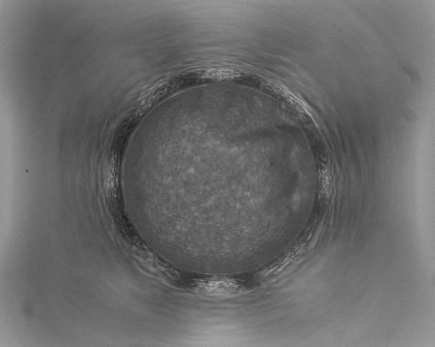 X0000115510517200911201641