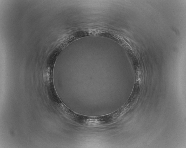 X0000115510519200911201641