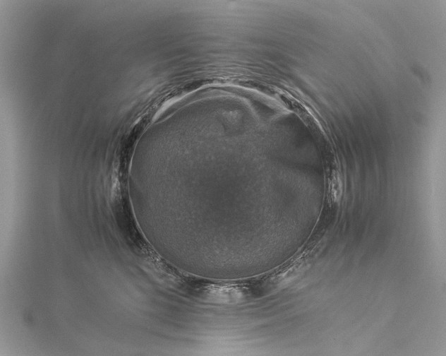 X0000115510520200911201641