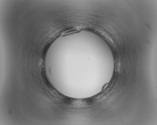 X0000115510521200911201641