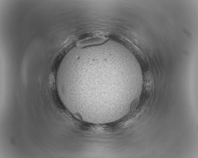 X0000115510523200911201641