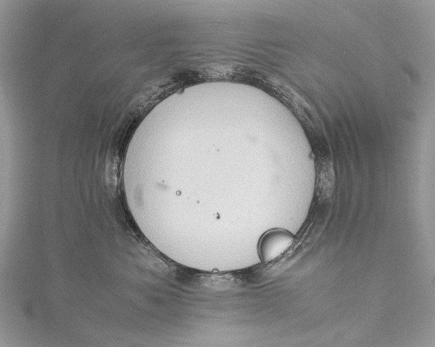 X0000115510525200911201641