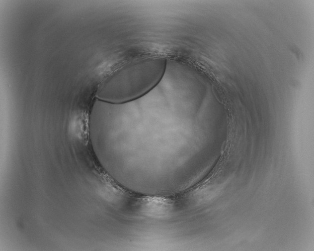 X0000115510528200911201641