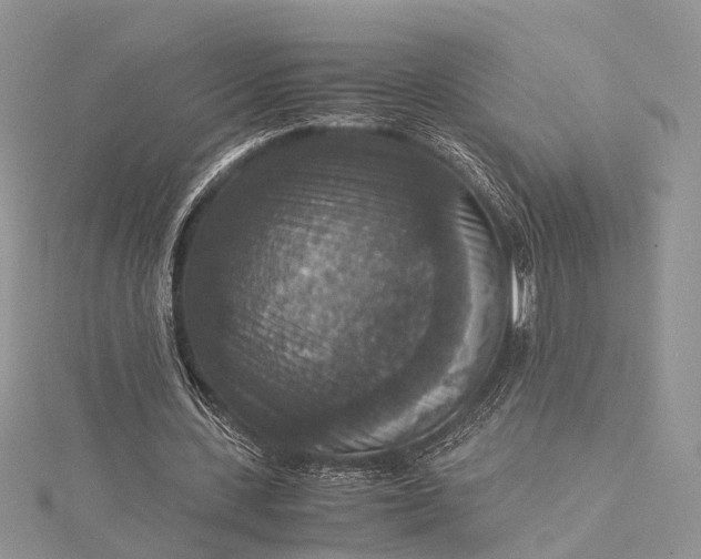 X0000115510531200911201640