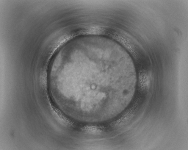 X0000115510534200911201640