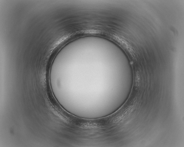 X0000115510535200911201640