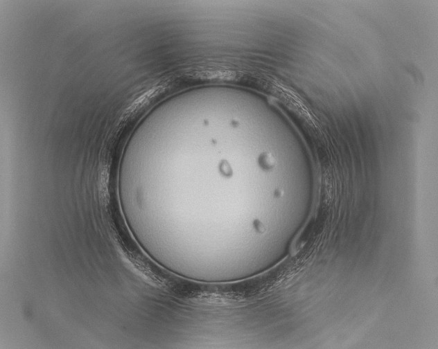 X0000115510538200911201641