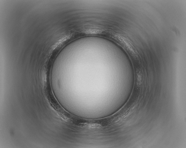 X0000115510539200911201641