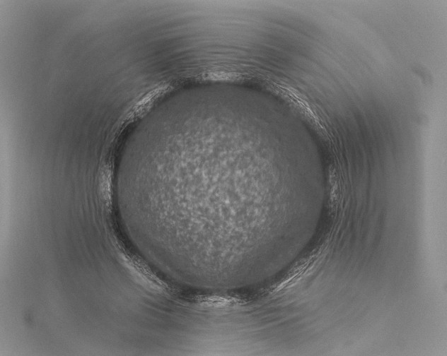 X0000115510542200911201641