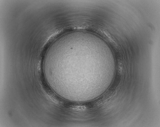 X0000115510543200911201641