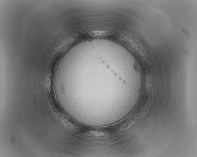 X0000115510545200911201641