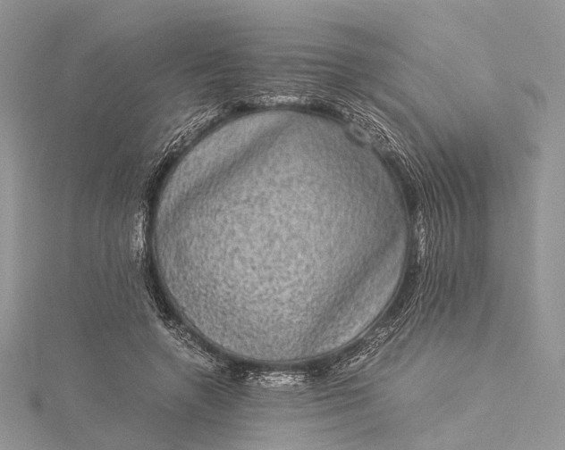 X0000115510546200911201641