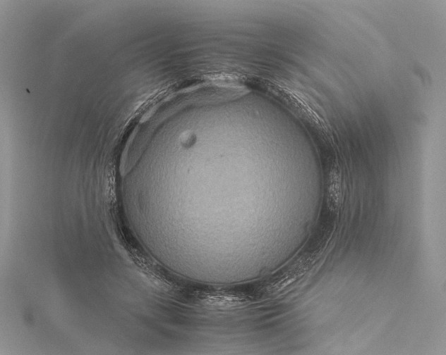 X0000115510547200911201641