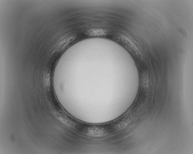 X0000115510549200911201641