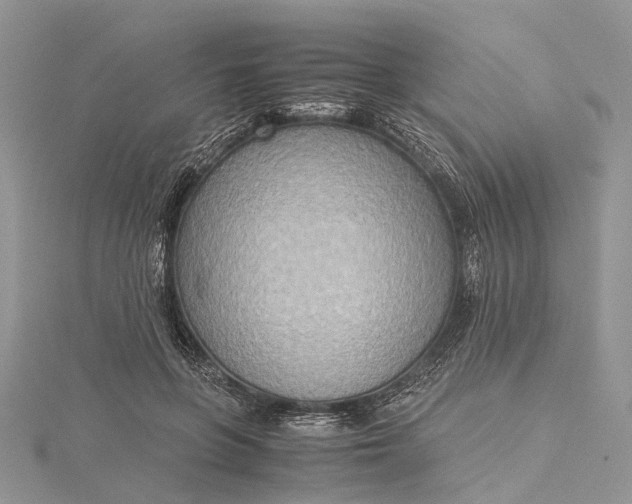 X0000115510551200911201641