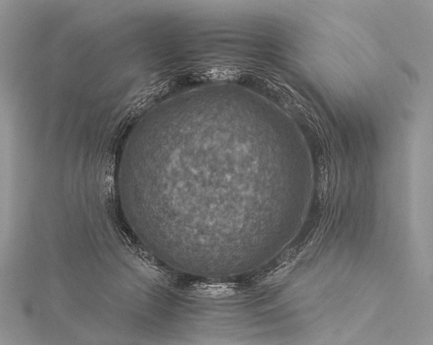 X0000115510553200911201641