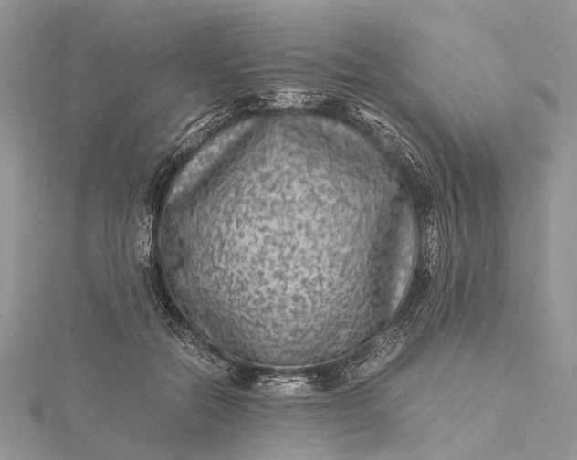 X0000115510554200911201641