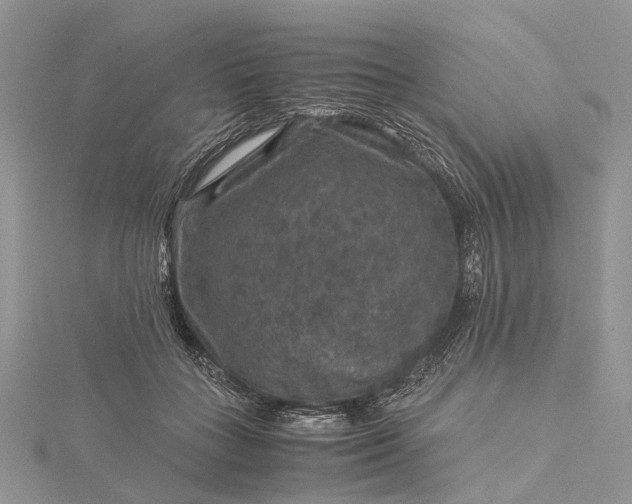 X0000115510555200911201641