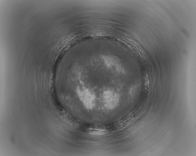 X0000115510559200911201641