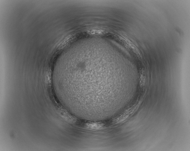 X0000115510561200911201641