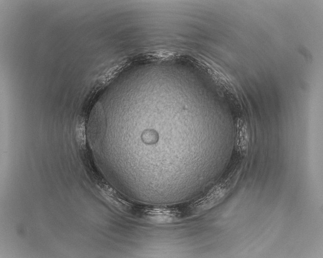 X0000115510562200911201641