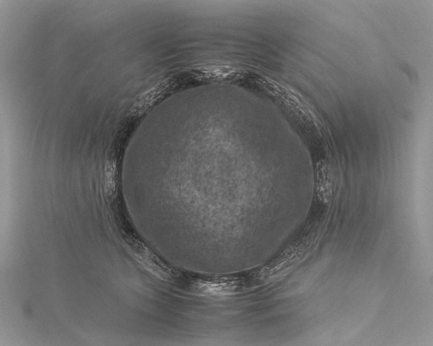 X0000115510563200911201641