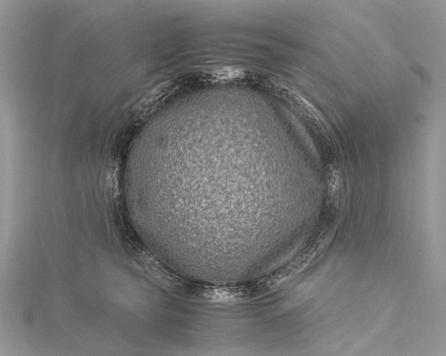 X0000115510565200911201641