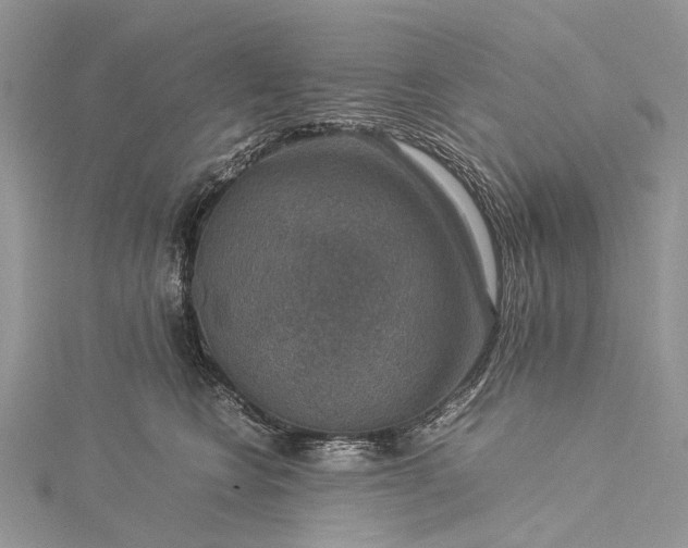 X0000115510566200911201641