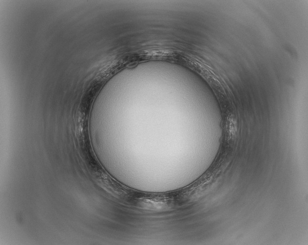 X0000115510567200911201641